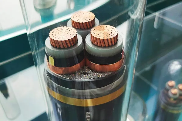 جامع سروس سپورٹ